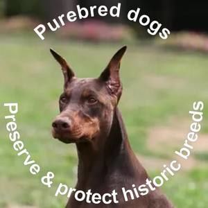 Meet your Posher, Carolyn